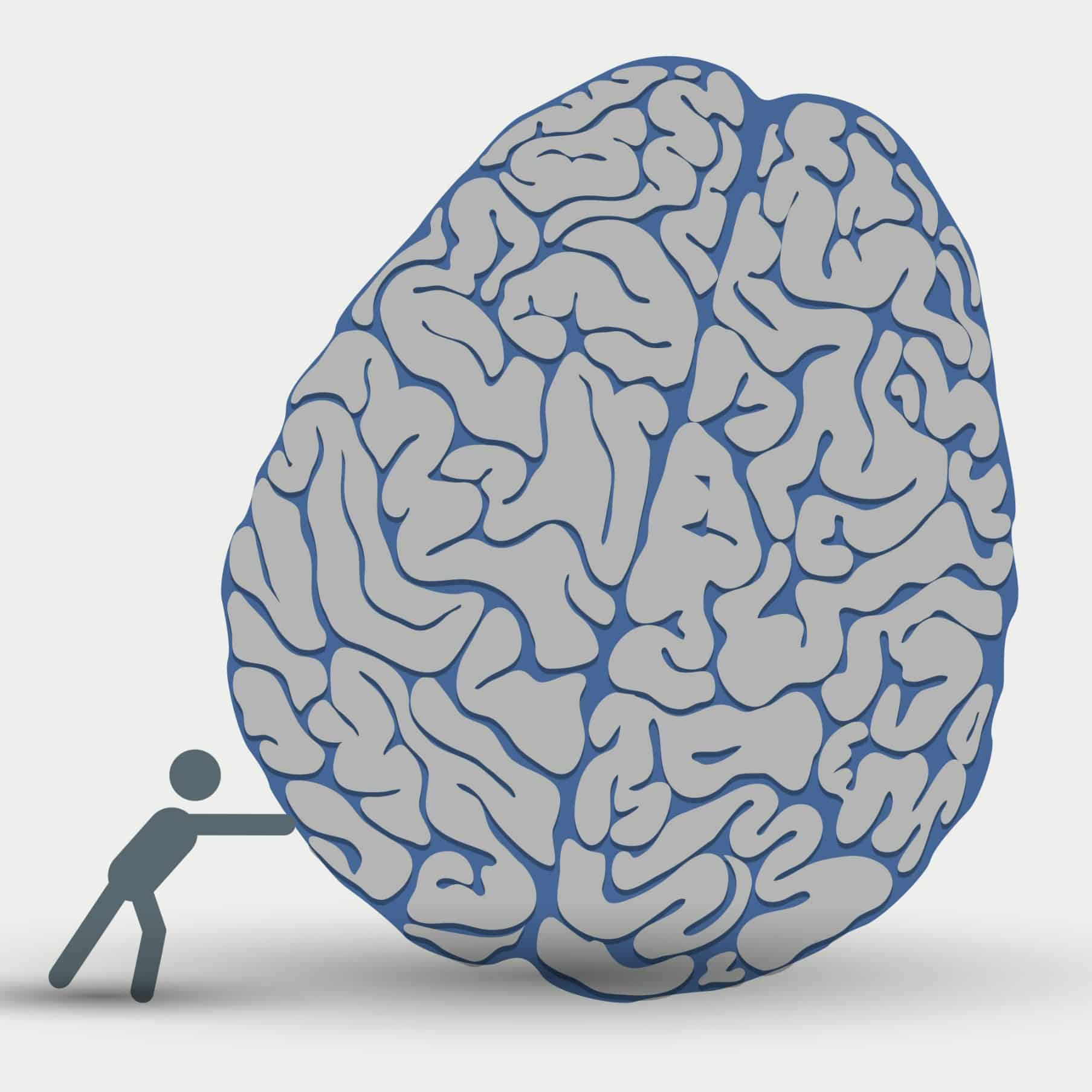 brain-cropped