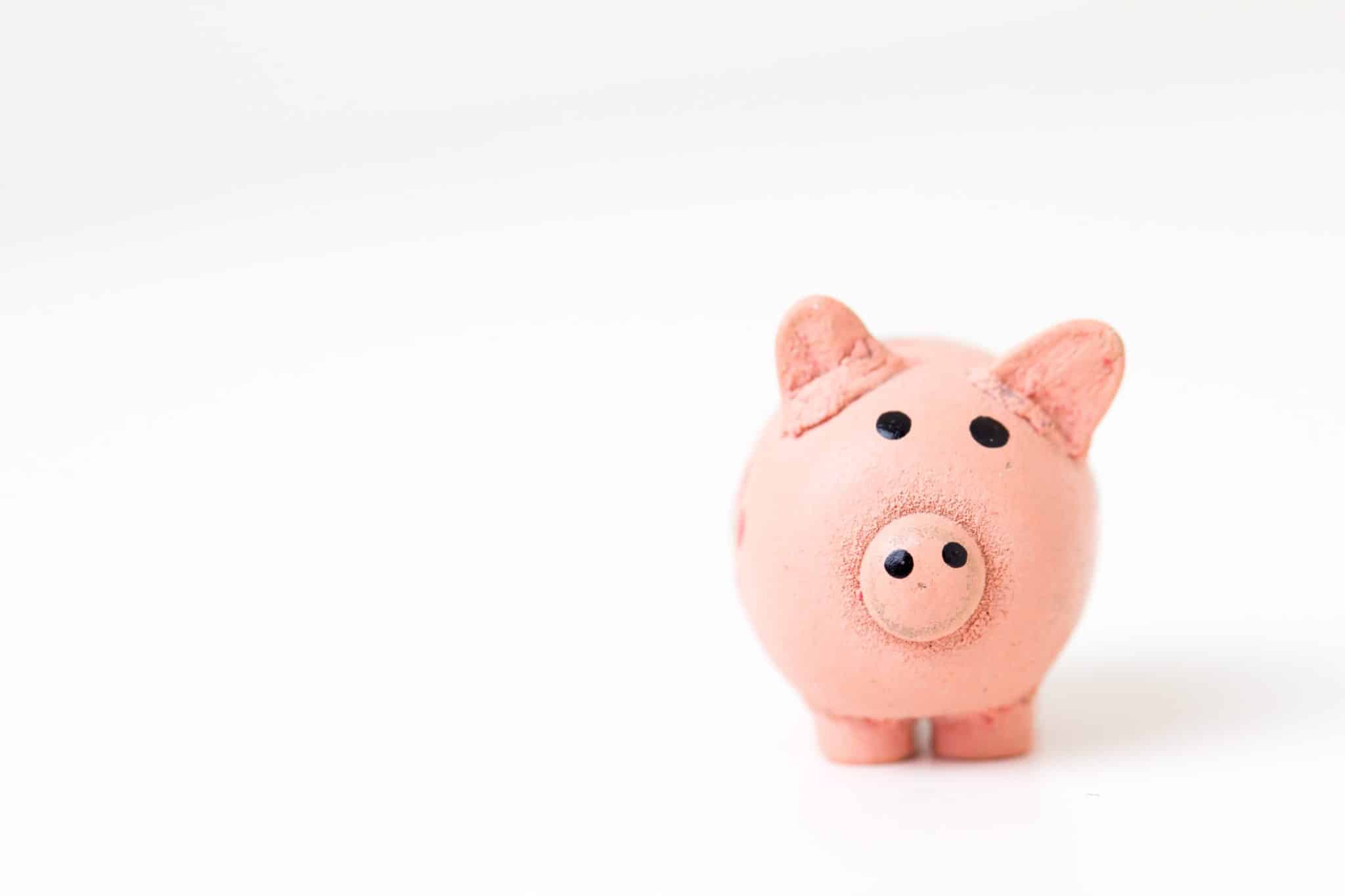 pink piggy bank for kids on white background