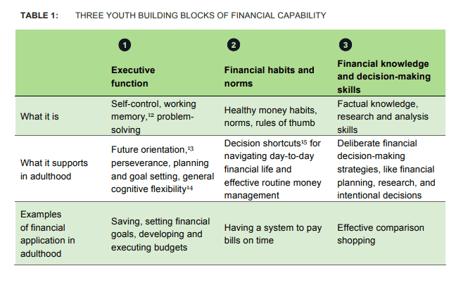 chart from consumer financial protection bureau detailing three building blocks for financial capabilities