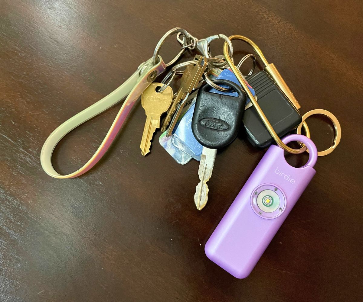 light purple birdie with brass keychain on larger keychain with lots of keys