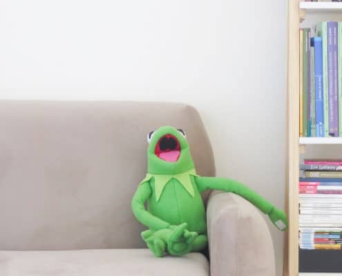 kermit the frog toy sitting on the couch with a book shelf of money books for kids next to him