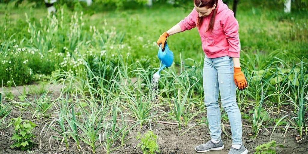 19 summer jobs for kids aged 13 and younger 