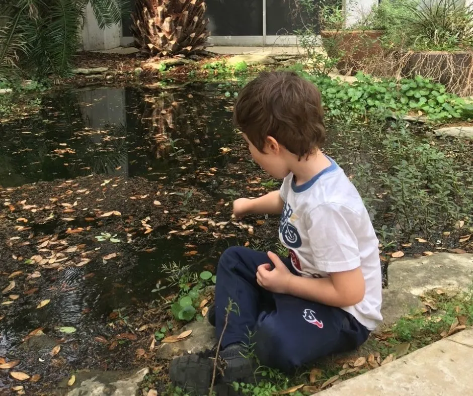 preschooler with stick poking near where frog eggs were found in a really small pond