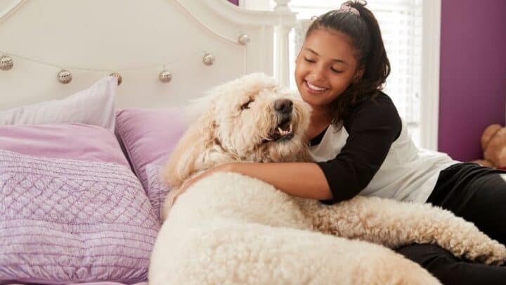 teen girl smiling with dog on purple bed