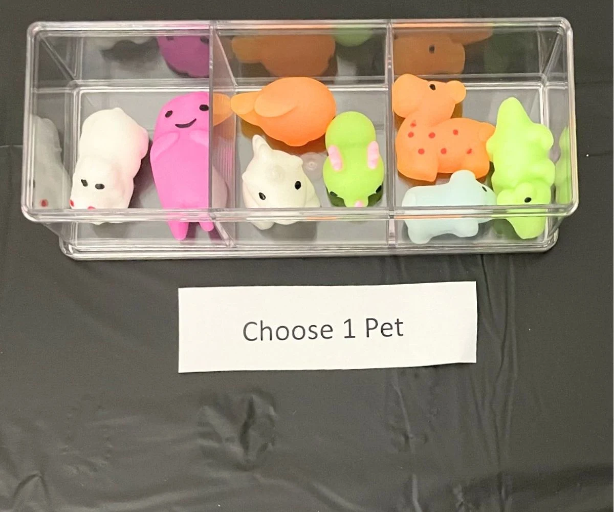 a group of colorful desk pets in a plastic continue with sign that says "Choose 1 Pet"