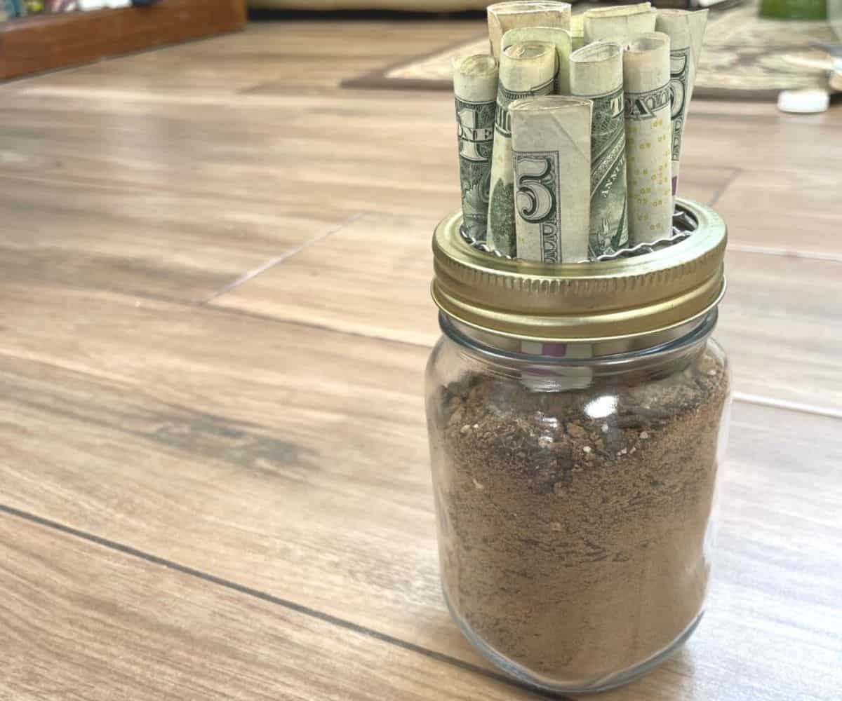 mason jar filled with soil, and dollar bills coming out of the top