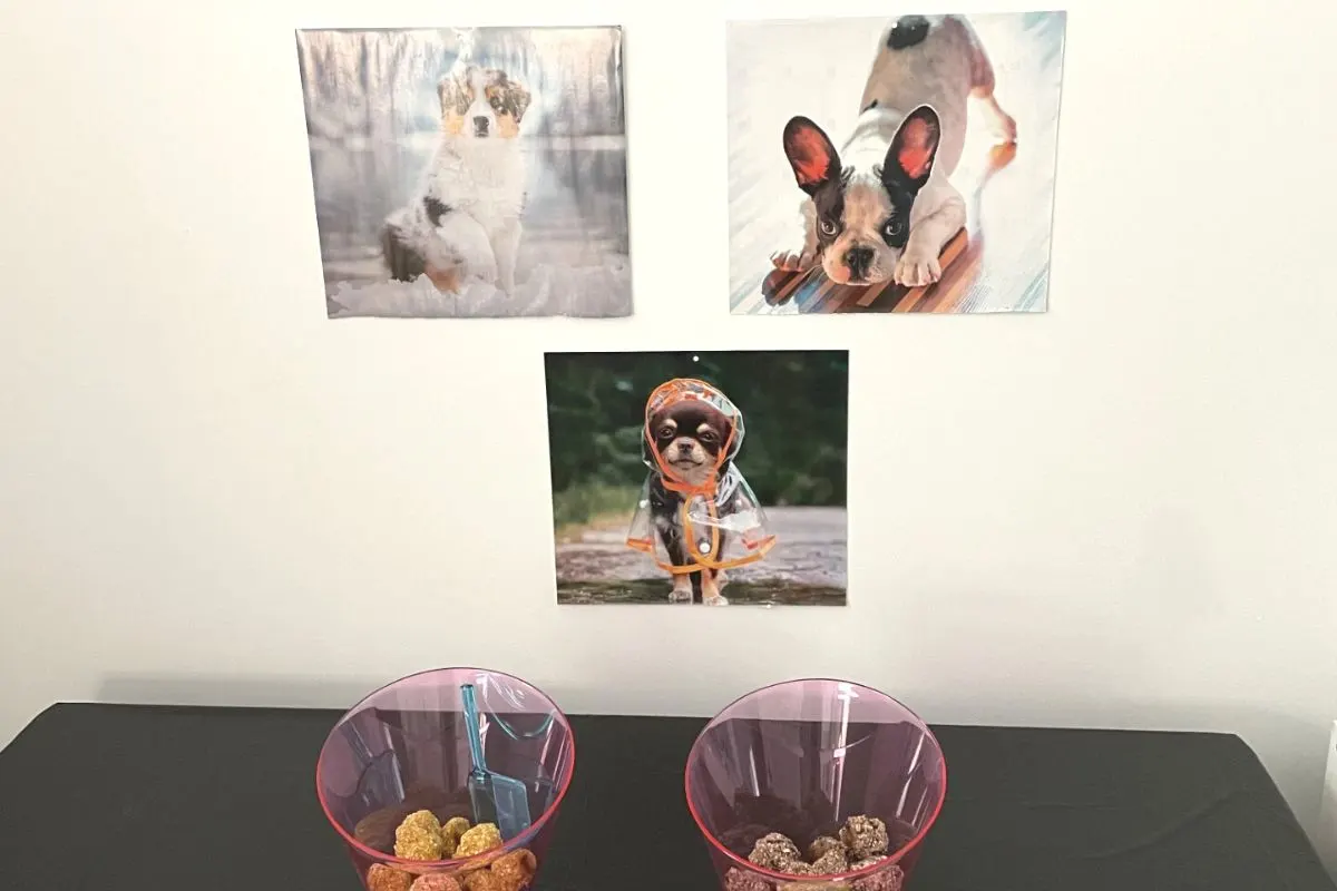 doggy treats in bucket with doggie posters on the wall behind them