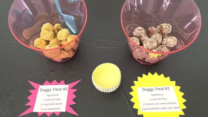 doggy treats in pink buckets on black tablecloth for market day dollar tree display ideas