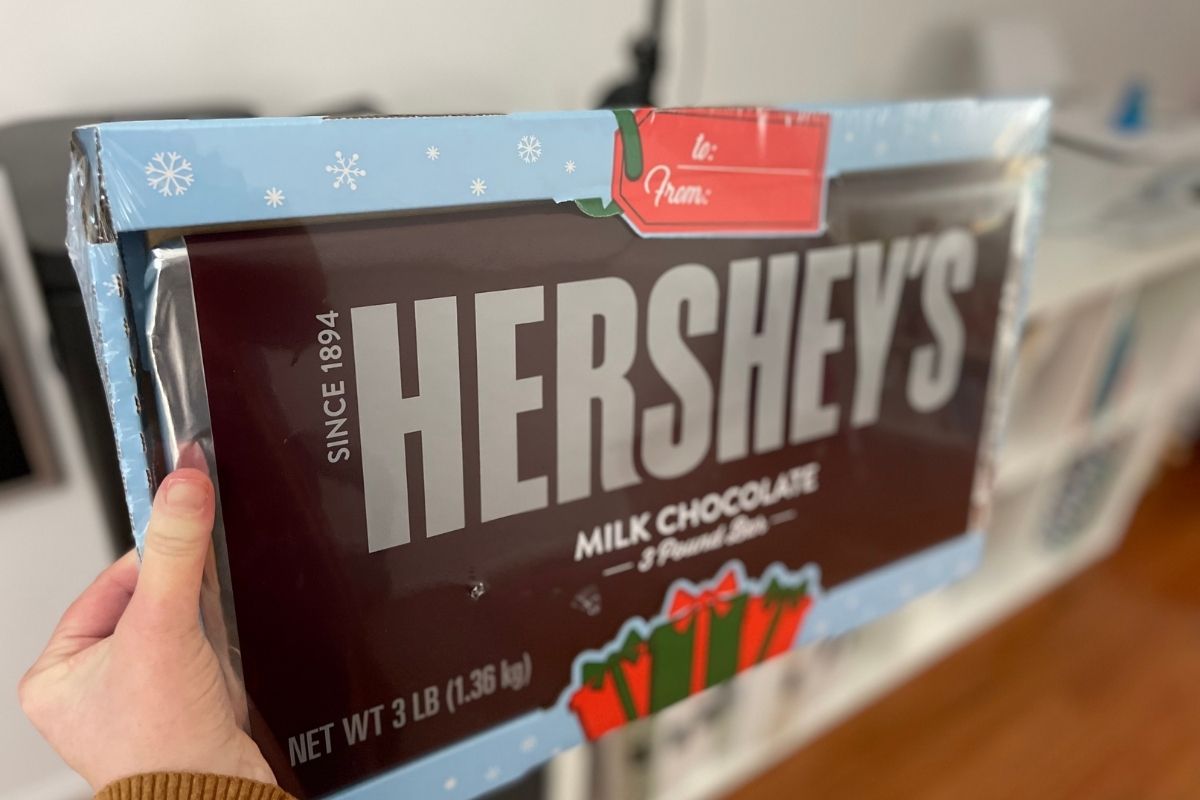 Giant Hershey's chocolate bar held in hand