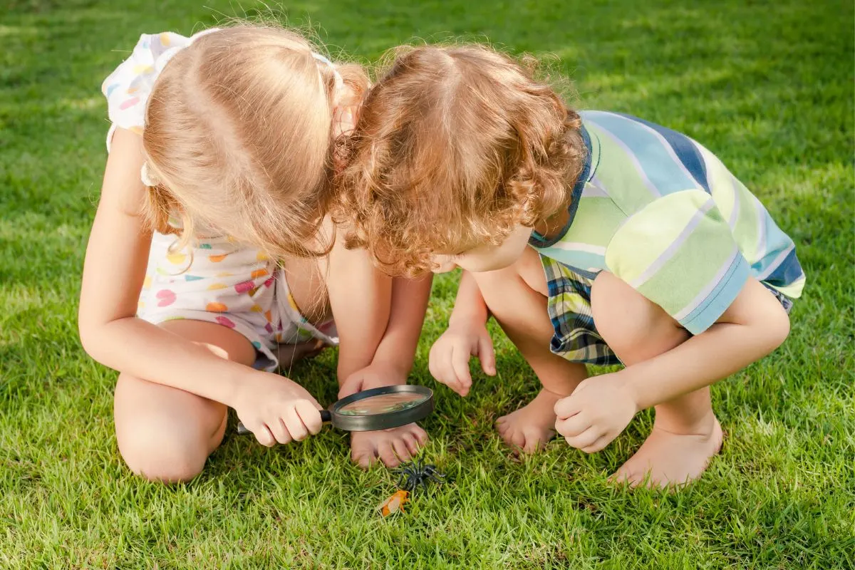 toddler and preschooler looking at ants and bug on grass through magnifying glass