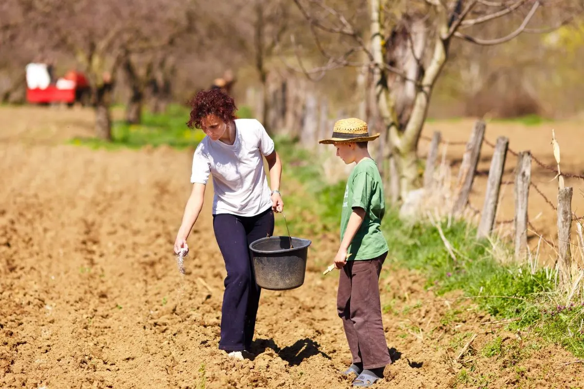 woman in field with boy, spreading something in field