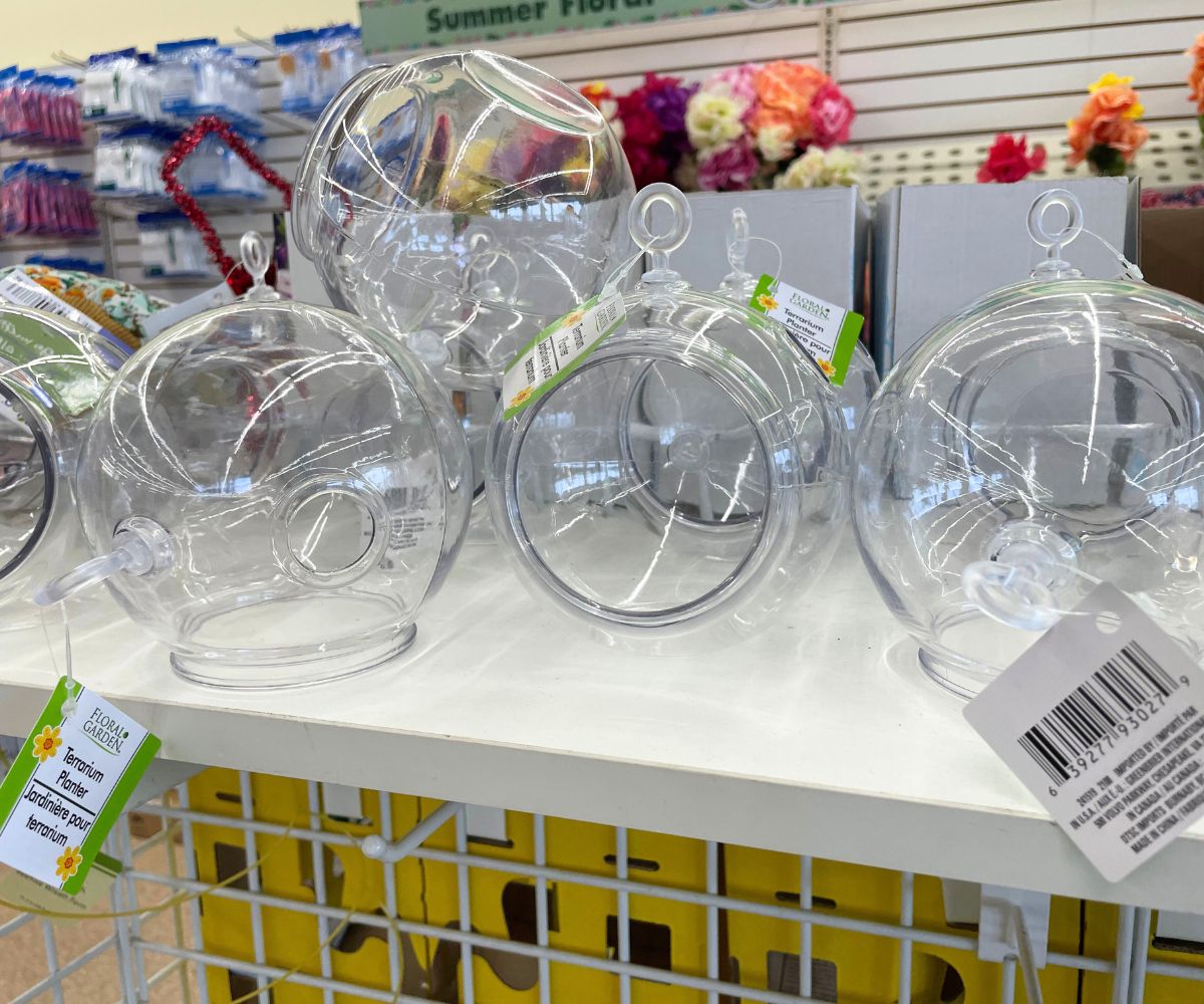 clear plastic terrariums on Dollar Tree shelf