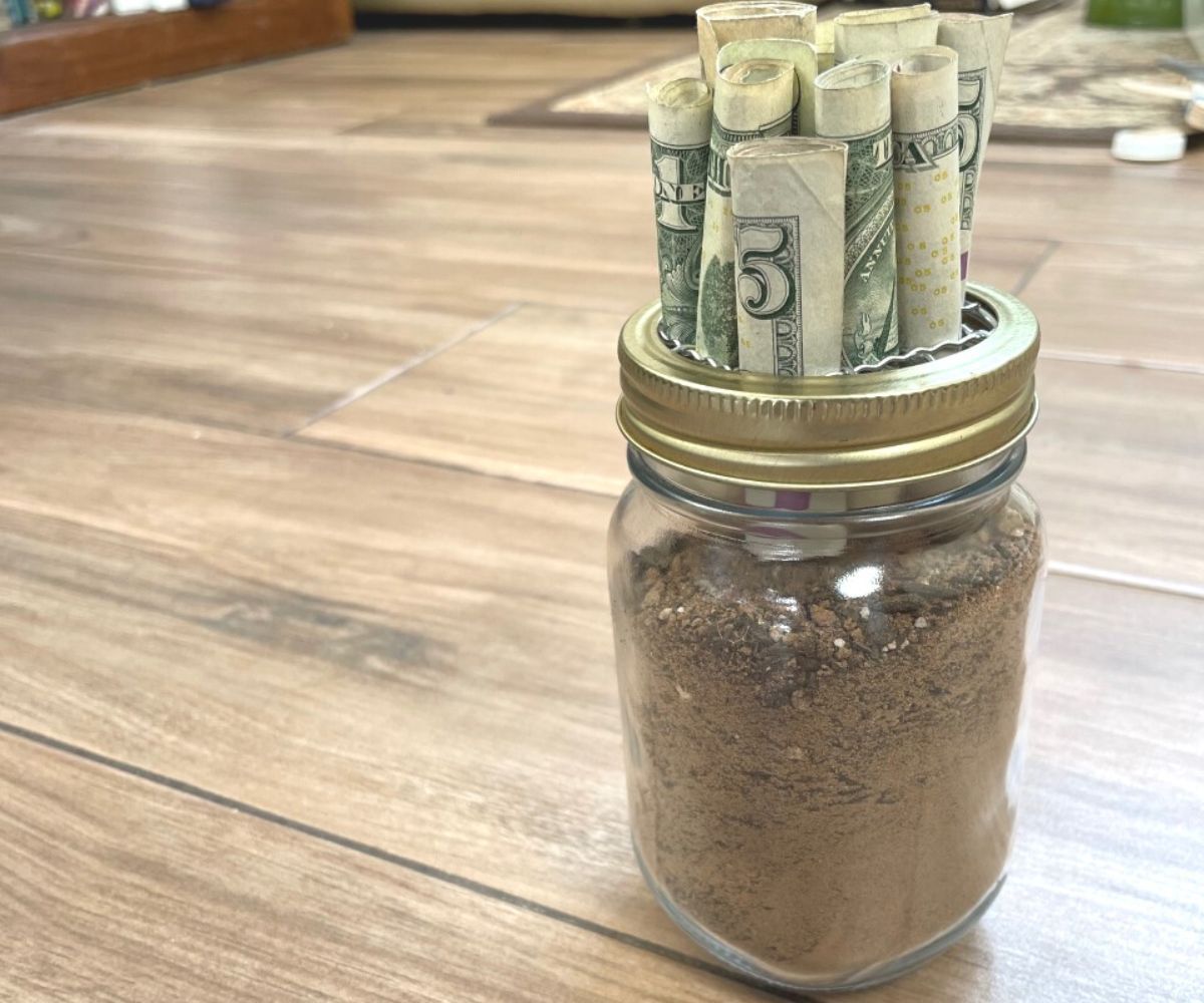mason jar filled with dirt, with slotted lid filled with rolled dollars and $5 bills coming out the top