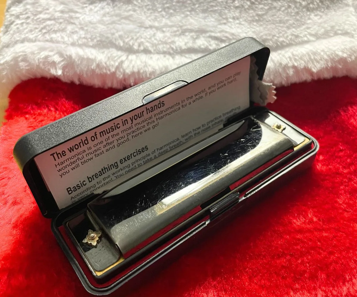 metal harmonica in a black case on top of red stocking