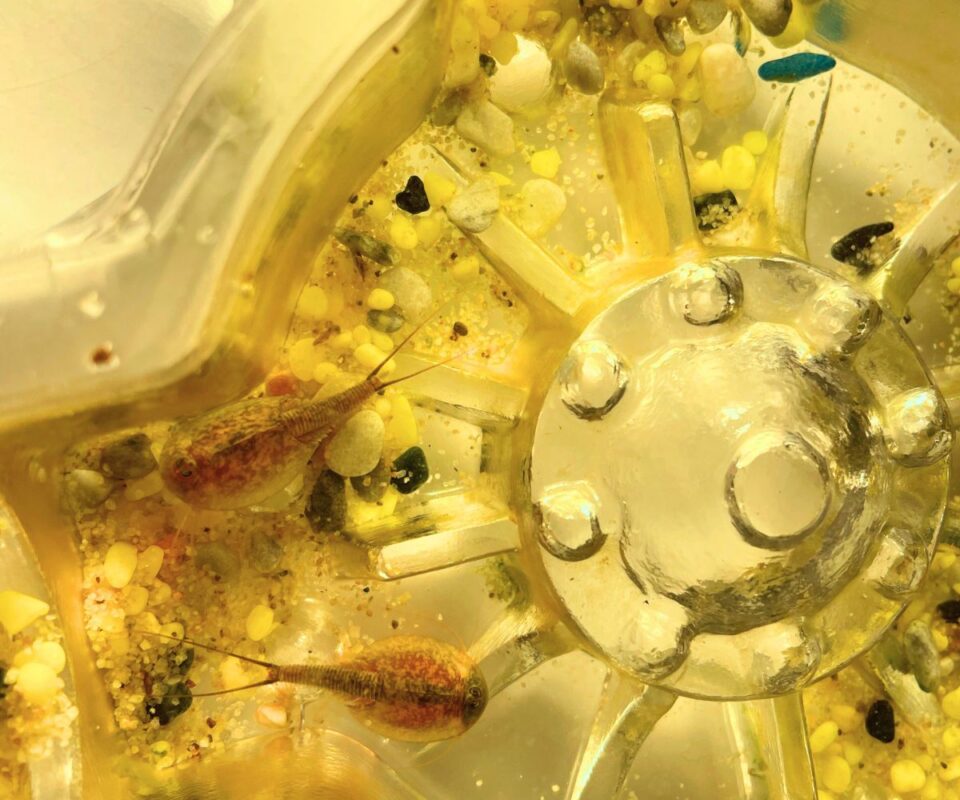 17-indoor-summer-activities-for-tweens-no-screens