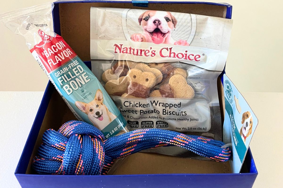 royal blue dollar tree gift box filled with doggie treats and toys