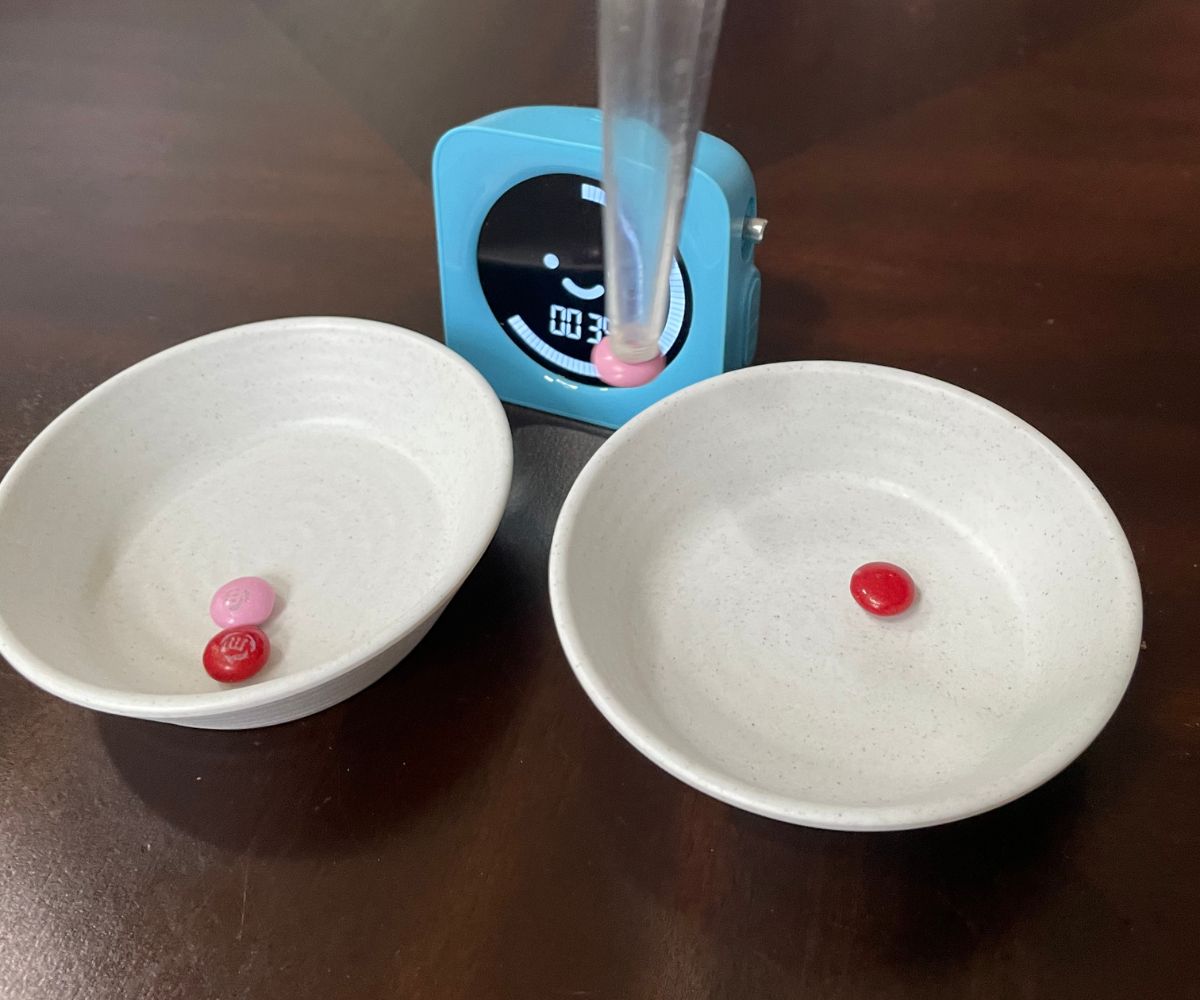 Turkey baster sucking up a pink M&M and transporting to another bowl
