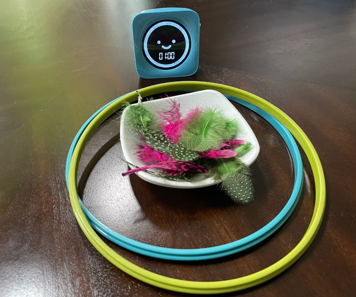 bowl of colorful feathers, two colorful rings, and timer set to 1:00 minute