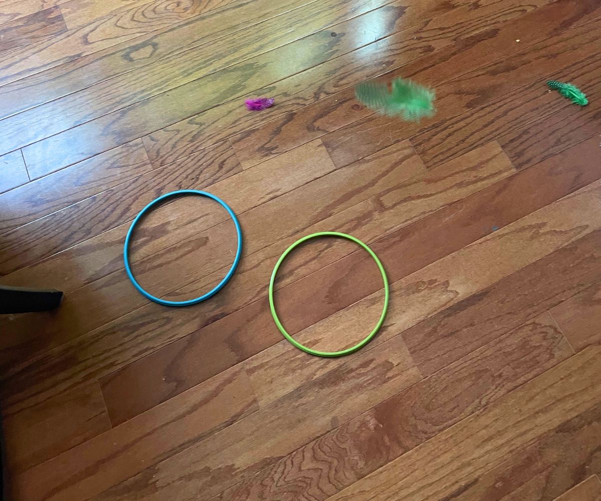 two colorful rings on floor, one feather dropping towards them, and two feathers outside of rings on ground