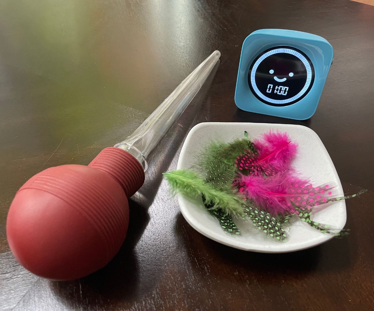 turkey baster next to bowl of feathers and blue timer set at 1:00 minute