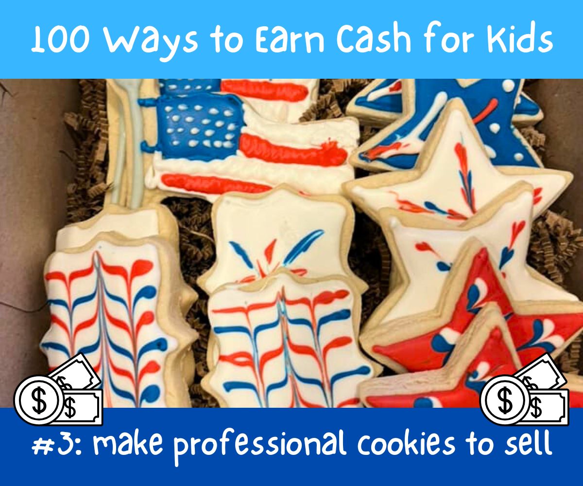 4th of July themed sugar cookies in box