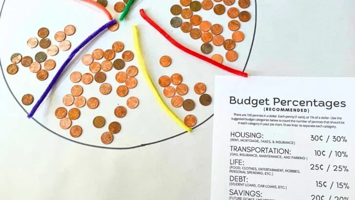 big pie chart with lots of pennies and budget percentages PDF printable on table