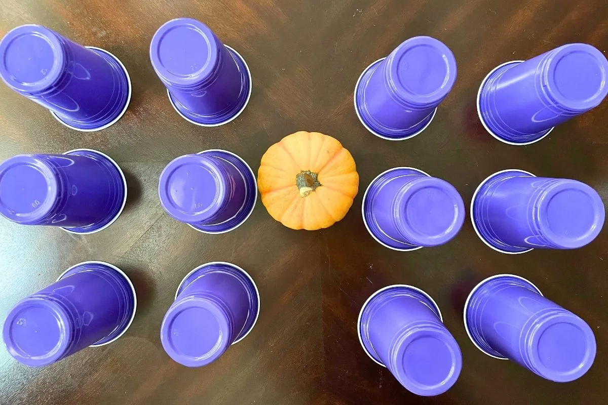 three rows of dark purple cups upside down with mini pumpkin on table