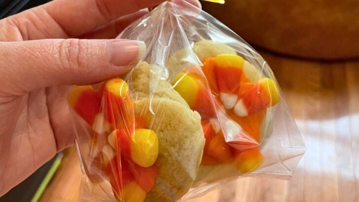 woman holding two candy corn coated cookies in plastic bag