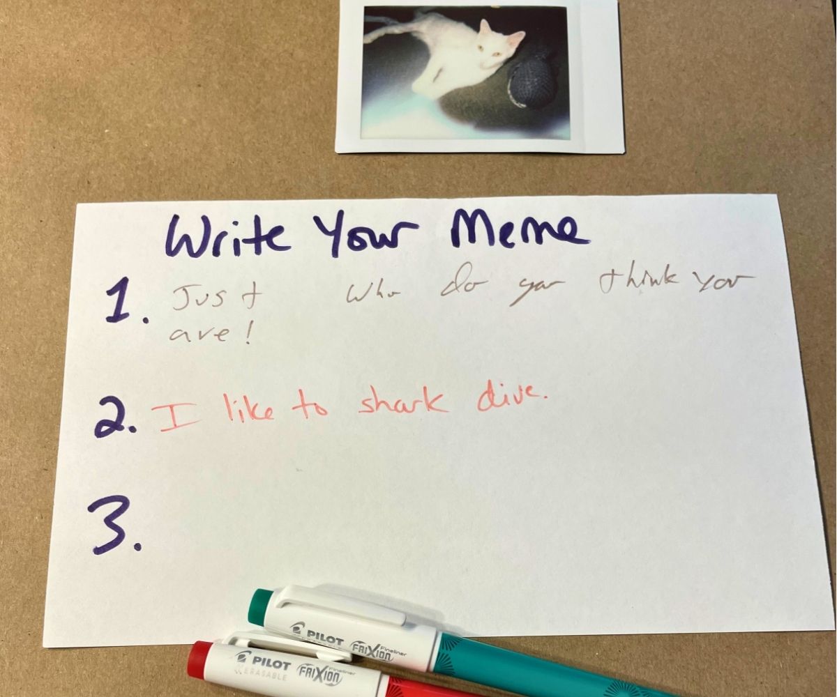 cat instant photo with two meme captions filled out