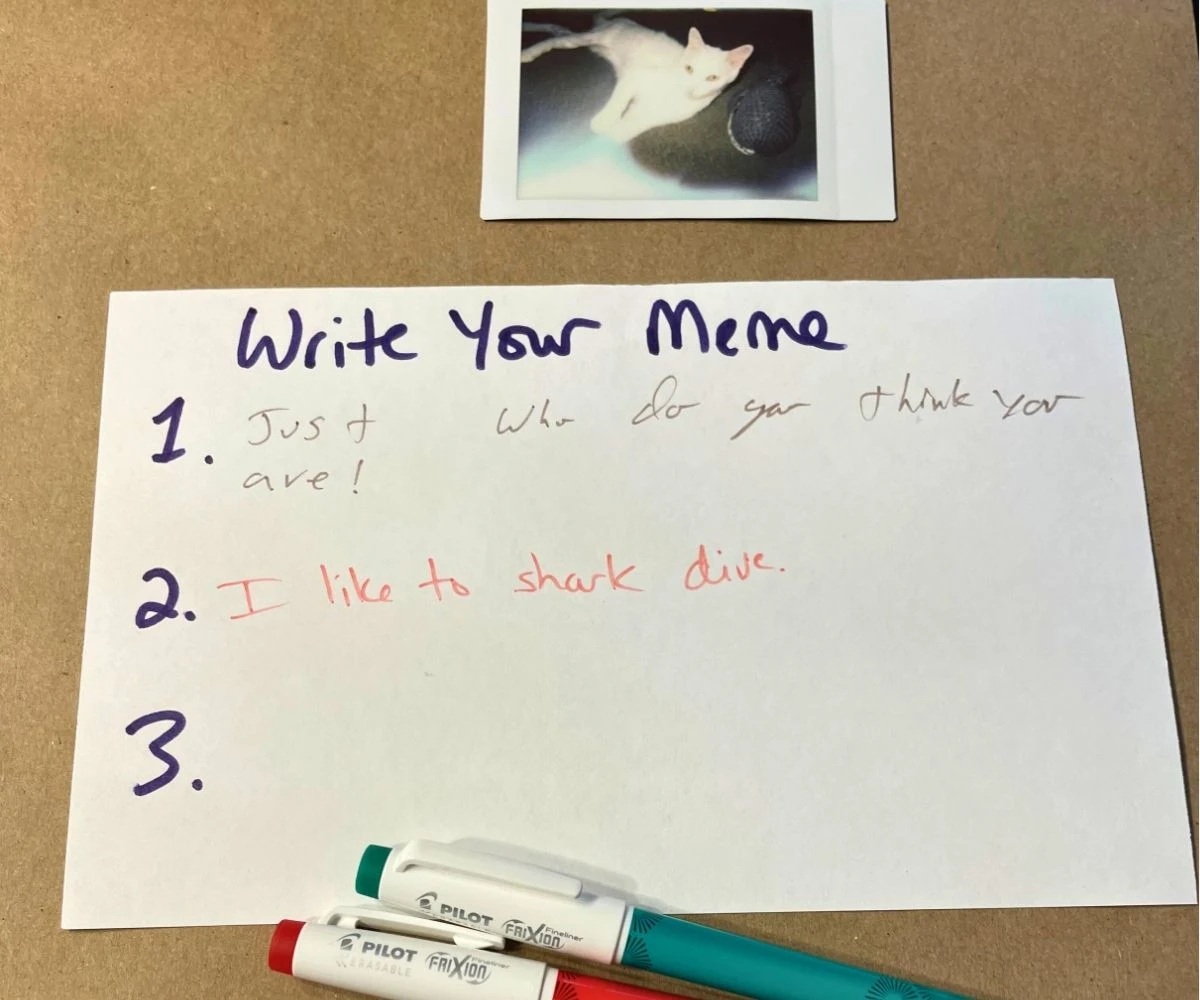 cat instant photo with two meme captions filled out