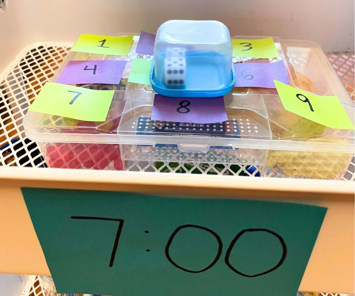 7:00 p.m. paper on second tier, showing a mystery snacklebox filled with snacks and a dice box