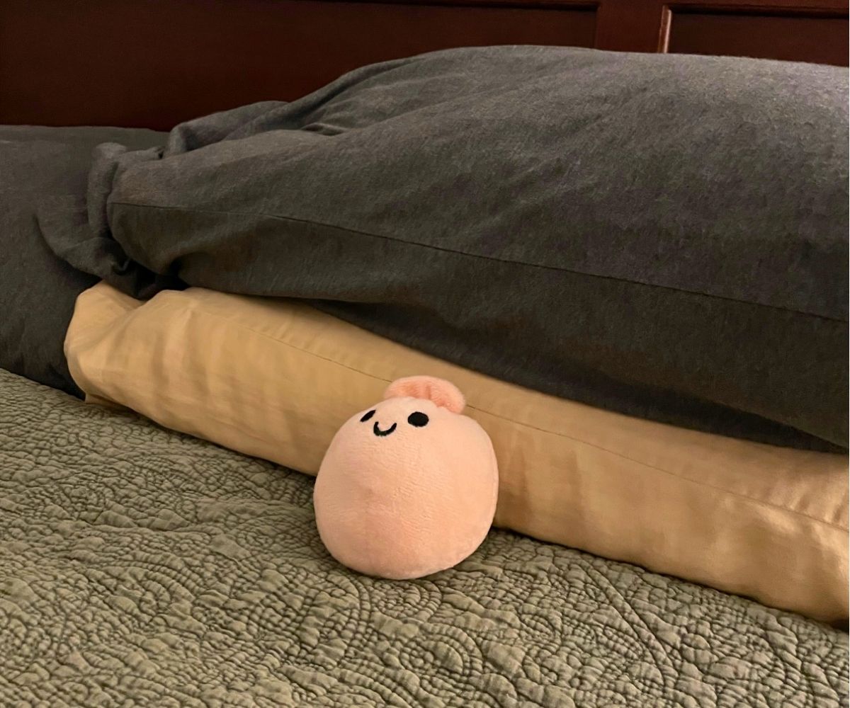 smiling emotional support dumpling leaning against a pillow on a grown-up made bed