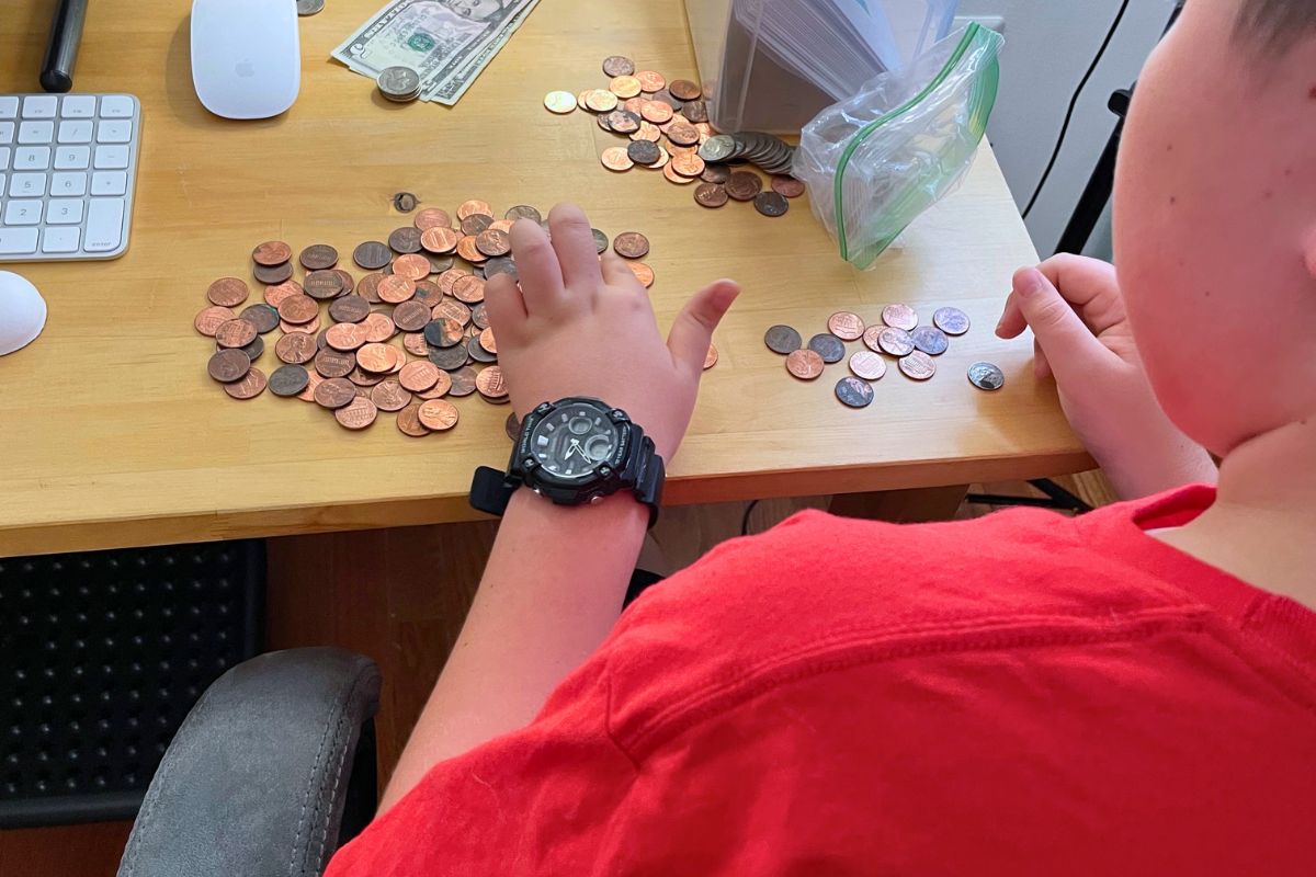 child counting coins and dollars on table to get ready for online shopping day spending