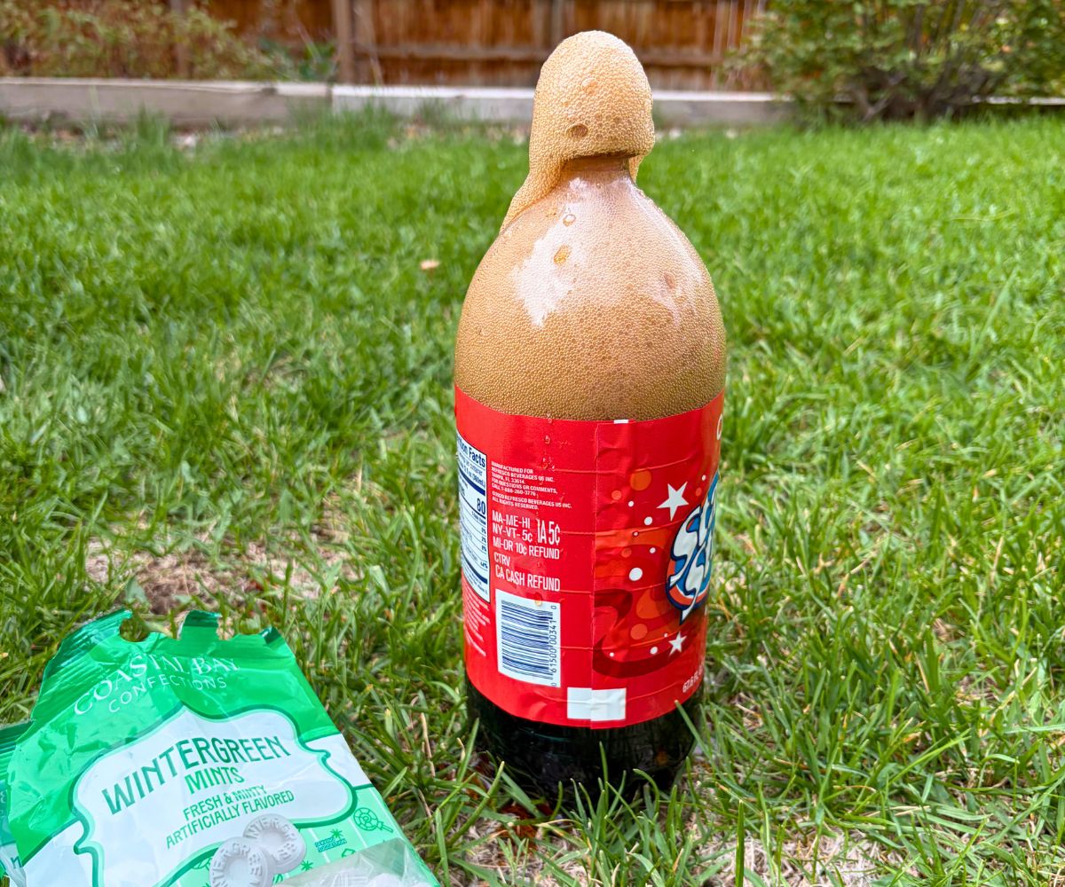 exploding off-brand 2-liter bottle of coke with wintergreen mints right beside it